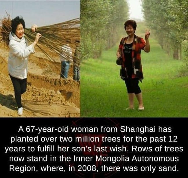 This woman from Shanghai has planted 2 million trees in Mongolia.