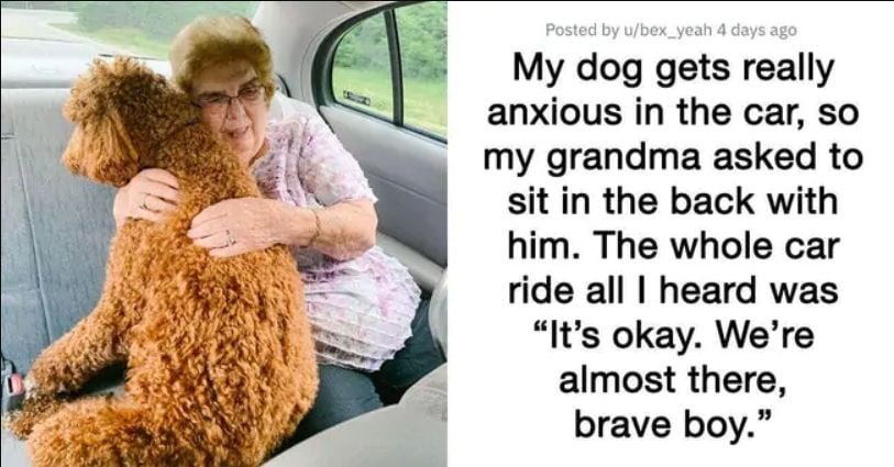 Positive story grandma dog