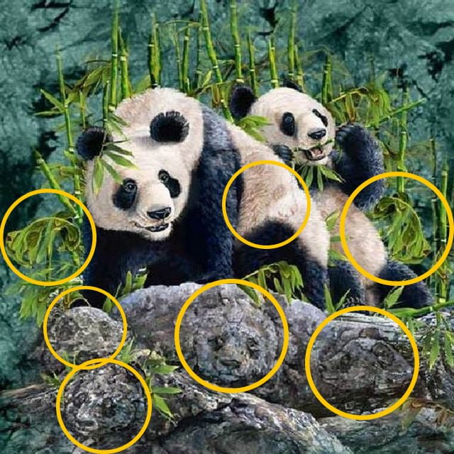 Hidden animals panda solution