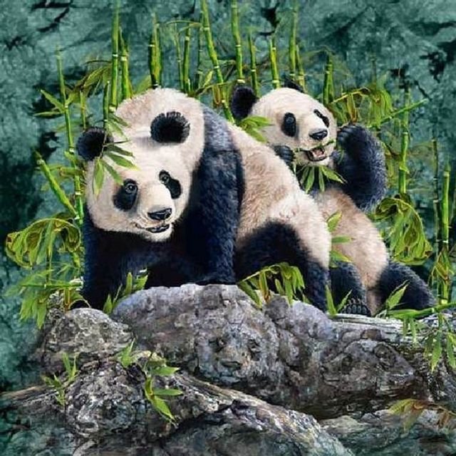 Hidden Pandas Optical Illusion