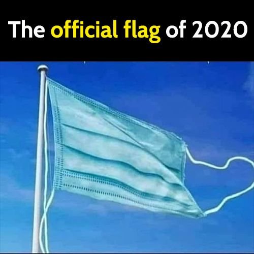 Funny meme: the official flag of 2020.