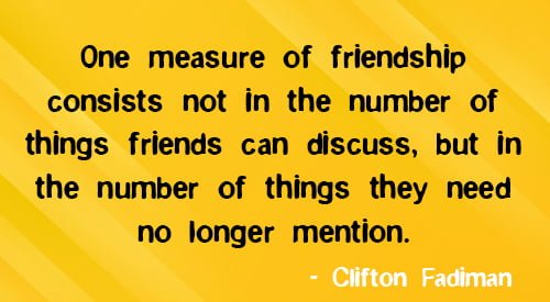 Positive quote about friendship: “One measure of friendship consists not in the number of things friends can discuss, but in the number of things they need no longer mention.”
– Clifton Fadiman