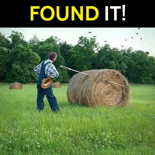 Funny meme: needle in the haystack