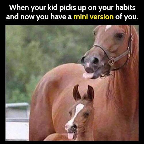 Funny animal meme: when your kid picks up on your habits and now you have a mini version of you.