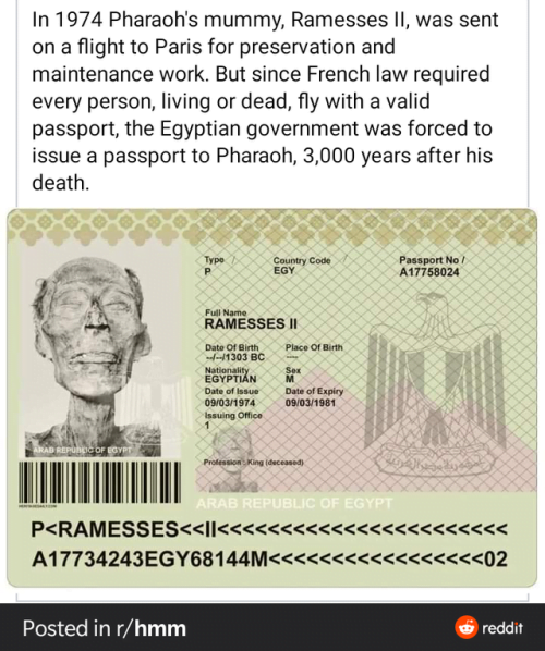 Interesting fact: Pharaoh Ramses II passport