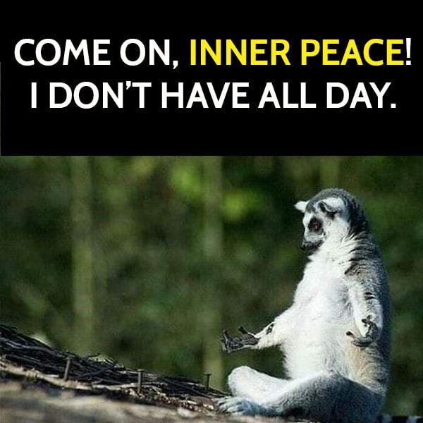 Funny meme: come on, inner peace! I don't have all day.