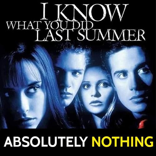 Funny meme: I know what you did last summer