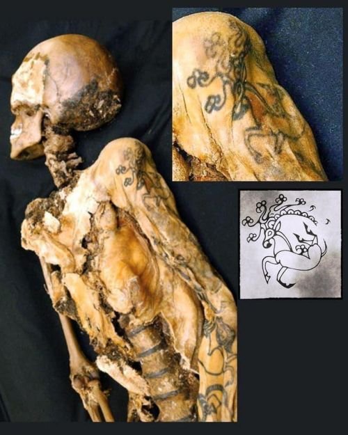 Interesting fact: 2500-year-old-tattoo Siberian Ice Maiden - Scythian deer
