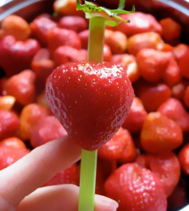 Kitchen hack strawberries