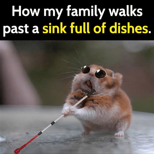 funny meme: how my family walks past a sink full of dishes.