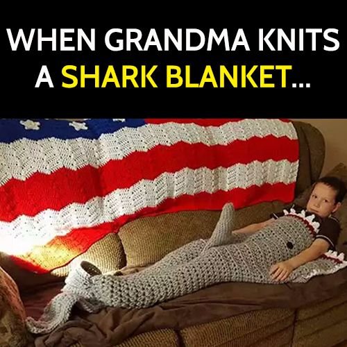 funny meme: when grandma knits you a shark blanket.