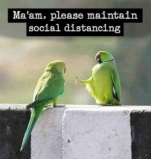 Funny meme 2020: Please maintain social distancing