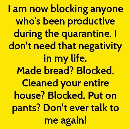 Funny meme 2020: I am blocking anyone who has been productive