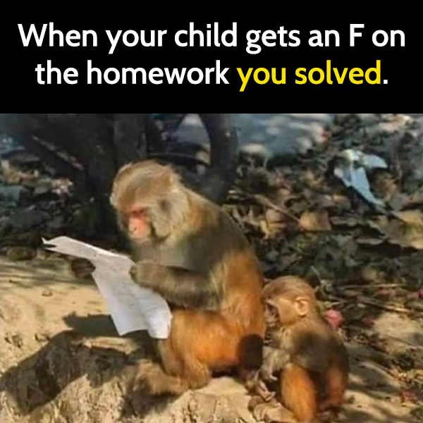 funny parenting meme: when your child gets an F on a homework you solved