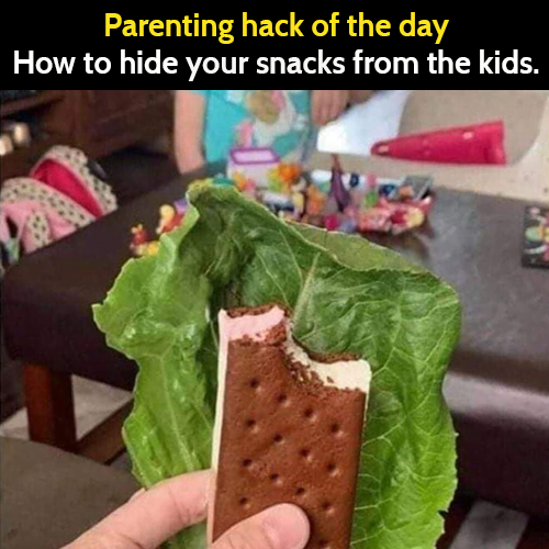 funny parenting meme: parenting hack of the day