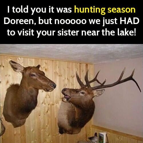 Funny meme: deer on the wall - I told you it was hunting season Doreen, but noooo we just had to visit your sister near the lake.