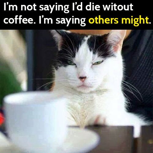 funny meme: I'm not saying I'd die without coffee. I'm saying others might.