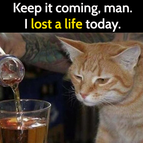 Funny cat meme: Keep it coming, man. I lost a life today.
