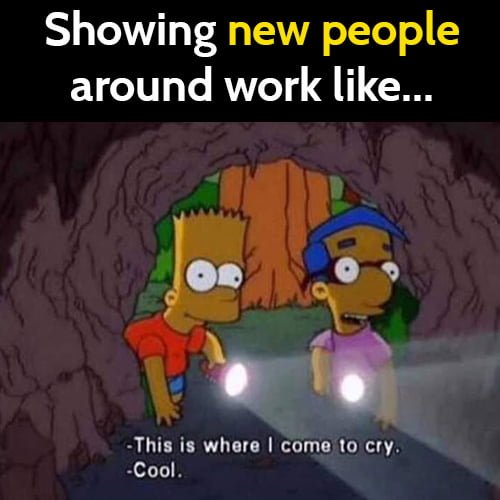 Funny work meme: Showing new people around work like: