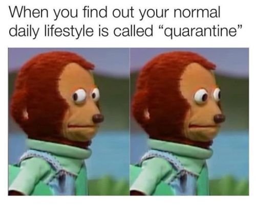 funny social distancing meme: when you find out your normal lifestyle is called quarantine