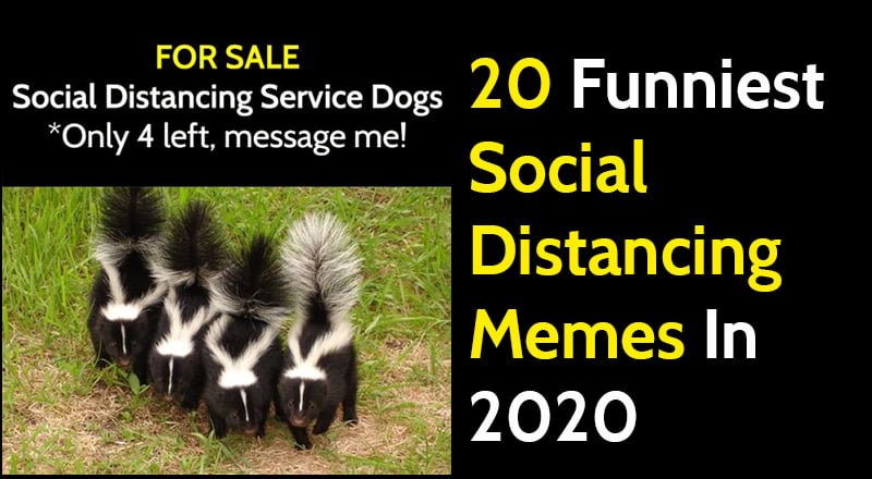 20 Funniest Memes About Social Distancing In 2020 - Bouncy Mustard