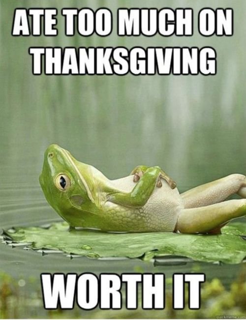 Funny Thanksgiving meme: