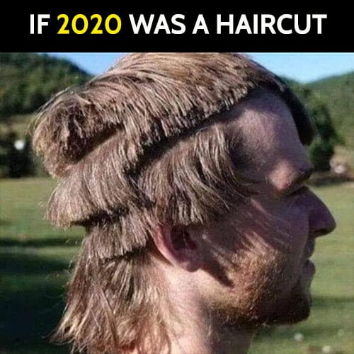 Funny meme: If 2020 was a haircut
