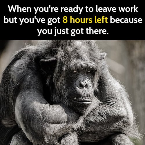 Funny meme: When you're ready to leave work but you've got 8 hours left because you just got there.