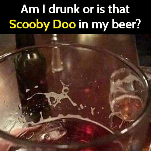 Funny meme: Am I drunk or is that Scooby Doo in my beer?