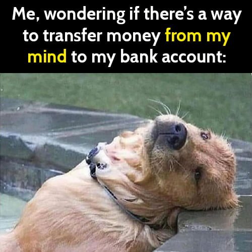 Funny meme: me, wondering if there's a way to transfer money from my mind to my bank account.