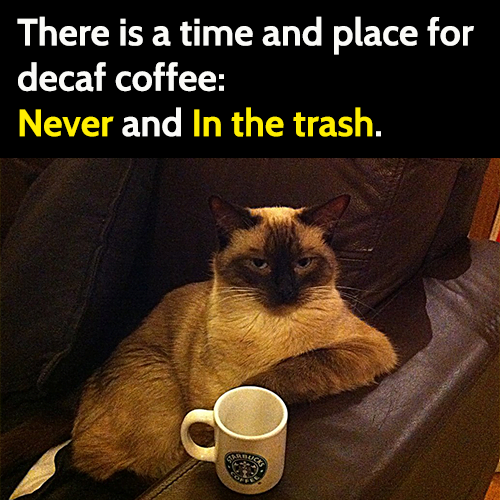 Funny coffee meme: there is a time and place for decaf coffee: never and in the trash