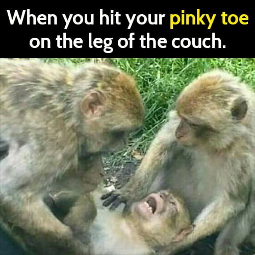 Funny meme: When you hit your pinky toe on the leg of the couch.