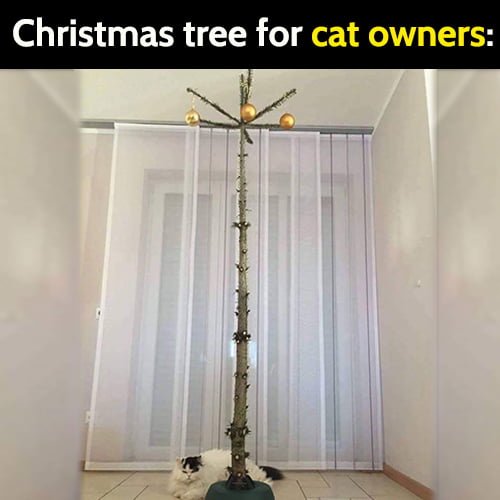 Funny Christmas tree for cat owners