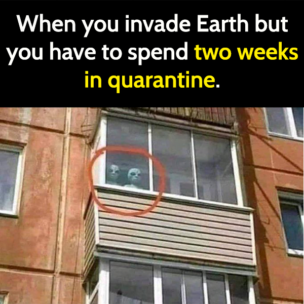Funny best memes that sum up 2020: when you invade earth but you have to spend two weeks in quarantine.