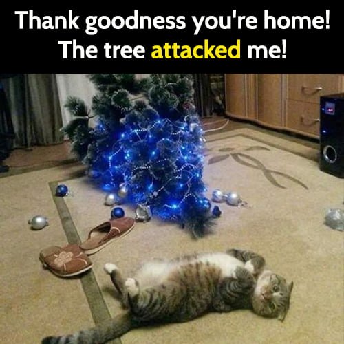 Funny Christmas meme: cat versus tree - thank goodness you're home, the tree attacked me!