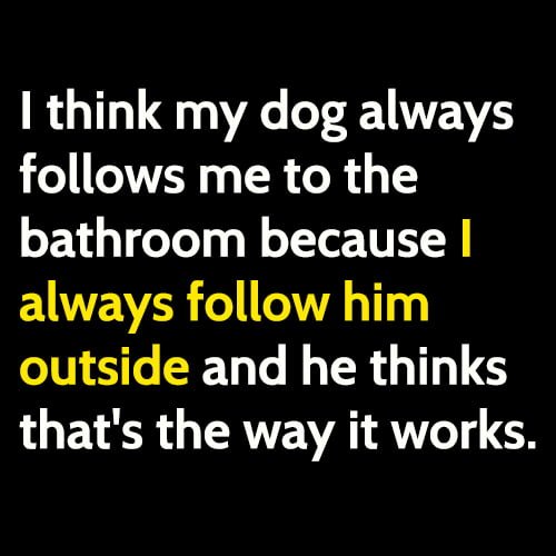Hilarious meme: I think my dog always follows me to the bathroom because I always follow him outside and he thinks that's the way it works.