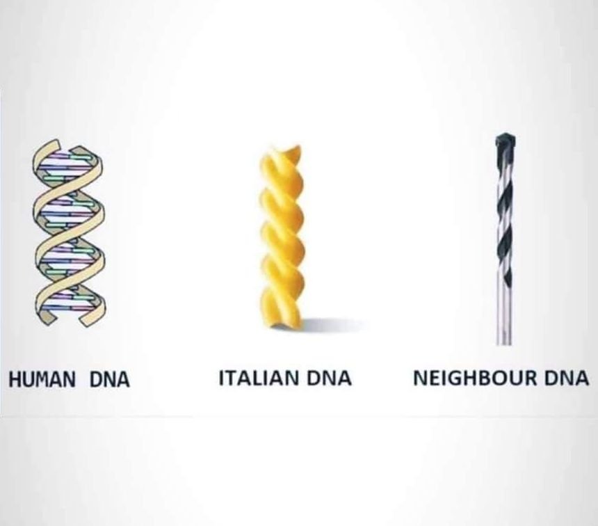 Hilarious meme: human dna, italian dna, neighbor dna