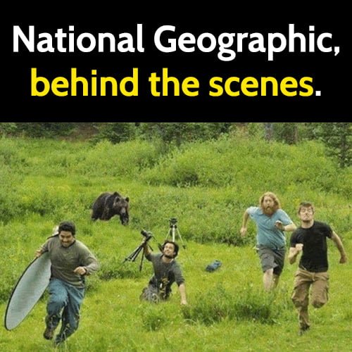 Hilarious meme: National Geographic behind the scenes
