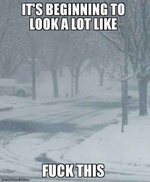 Funny winter meme: It's beginning to look a lot like fck this