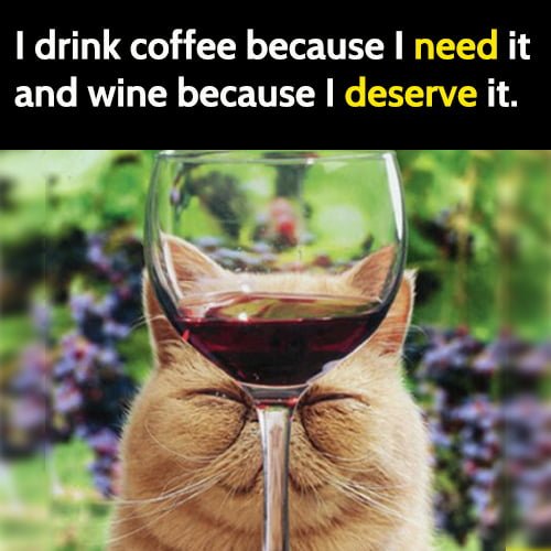 Funny meme: I drink coffee because I need it and wine because I deserve it.
