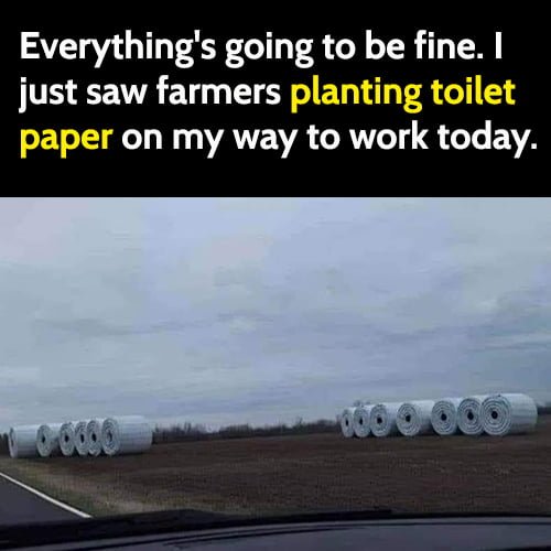 Funny meme: Everything's going to be fine. O just saw farmers planting toilet paper on my way to work today.