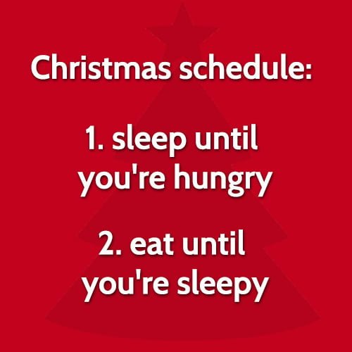 Funny meme: Christmas schedule: 1. sleep until you're hungry, 2. eat until you're sleepy.