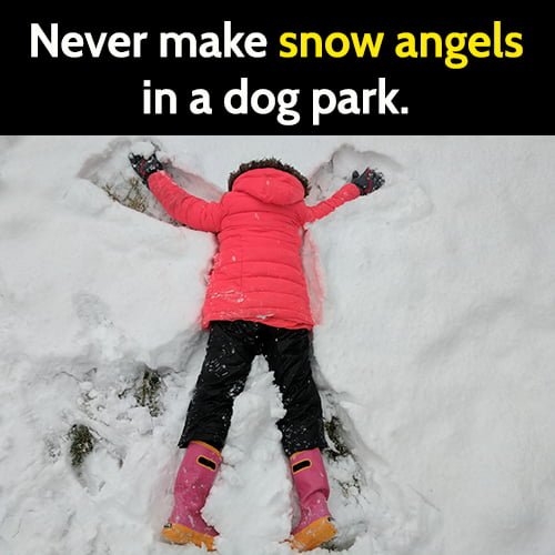 Funny winter tip: Never make snow angels in a dog park.