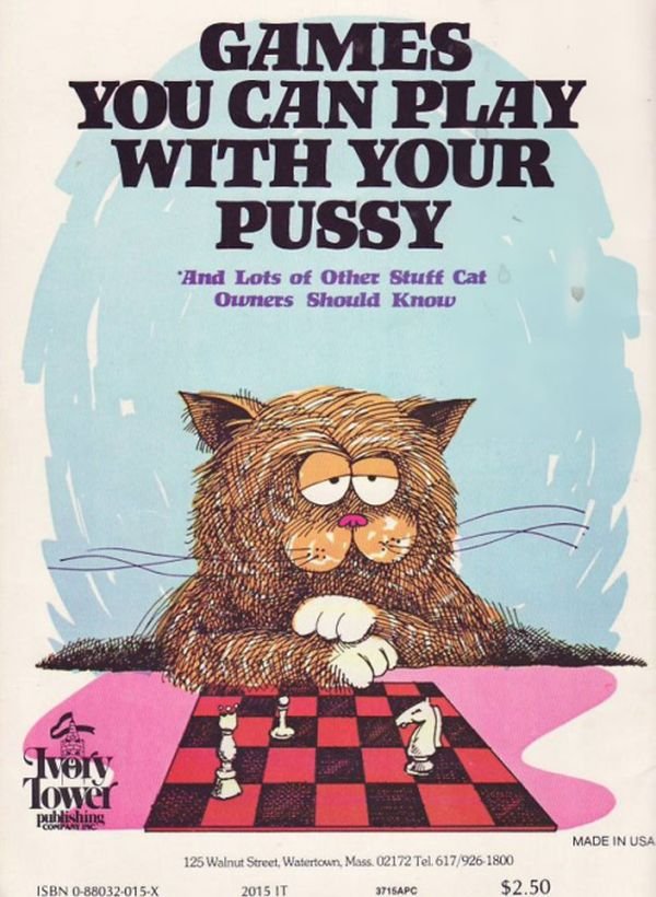 Funny weird book cover: games you can play with your cat