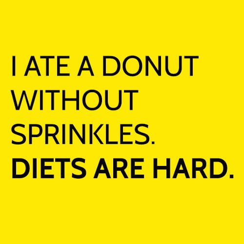 Funny hilarious meme: I ate a donut without sprinkles. Diets are hard.