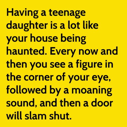 Funny meme: having a teenage daughter is a lot like your house being haunted.