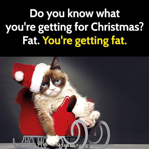 Funny Christmas Meme: Do you know what you're getting for Christmas? Fat. You're getting fat.