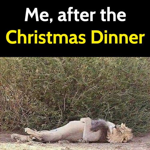 Funny Christmas Meme: Me, after the Christmas dinner