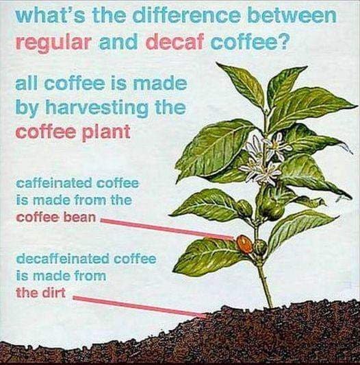 Funny hilarious meme: What's the diffeerence between regular and decaf coffee? Decat coffee is made from dirt.