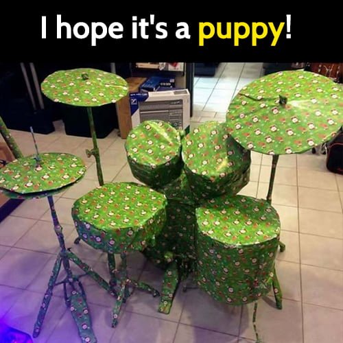 Hilarious meme: I hope it's a puppy drums